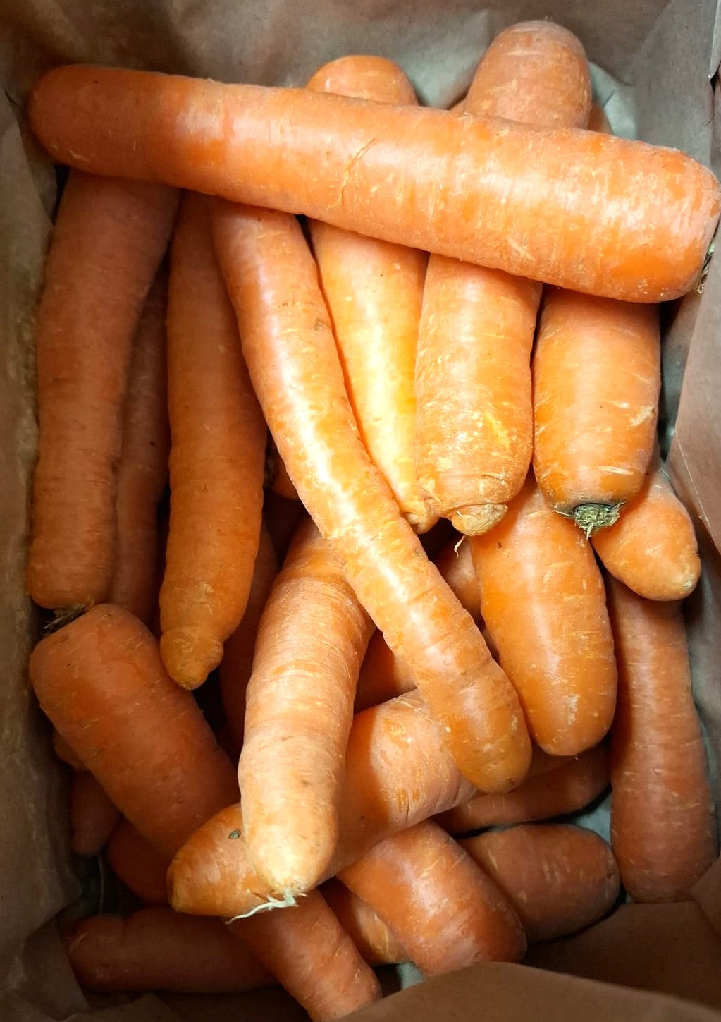 Sac de Carottes 2kg - Vannes