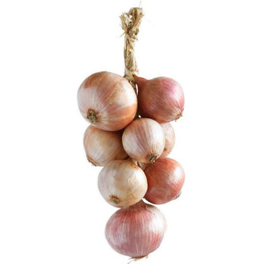 Oignon rosé de Bretagne en tresse