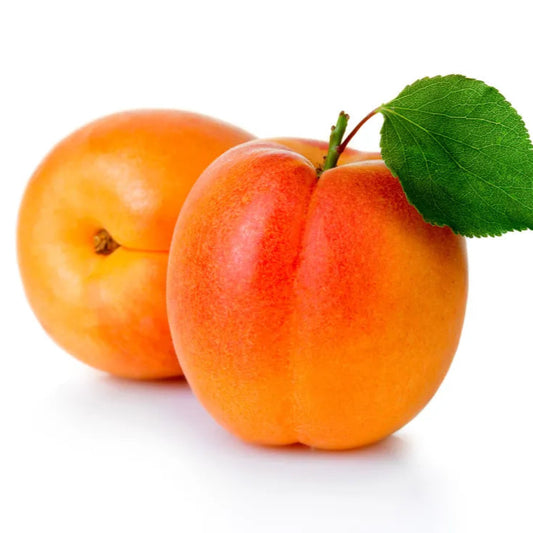 Abricot à confiture 5kg