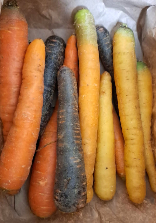 Sac de Carottes mixte 1,5 kg - Vannes